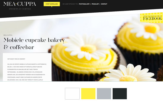 good_website_color_example